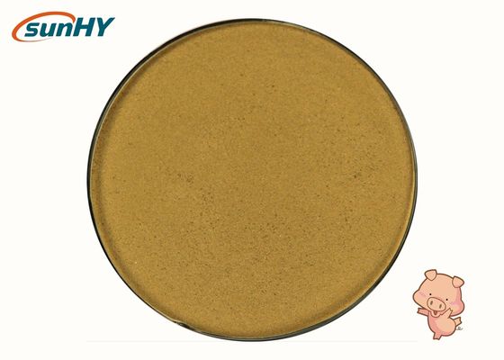 Sunhy Bacillus Coagulans Improving The Intestinal Health Of Animals