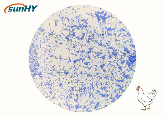 HyProbo EC50 Powdered Probiotics For Animal Gut Health