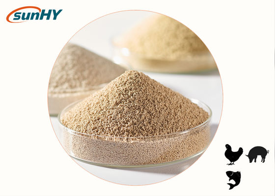 Heat stable β-Glucanase NSP enzyme feed enzyme best quality FAMI-QS certificated slight yellow multiple types
