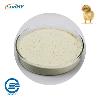 Multi Strain 5.1 Billion Cfu/G Probiotics For Animal ISO9001