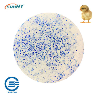 Blend Powder 200g/MT Probiotics For Animal Breeding Bird