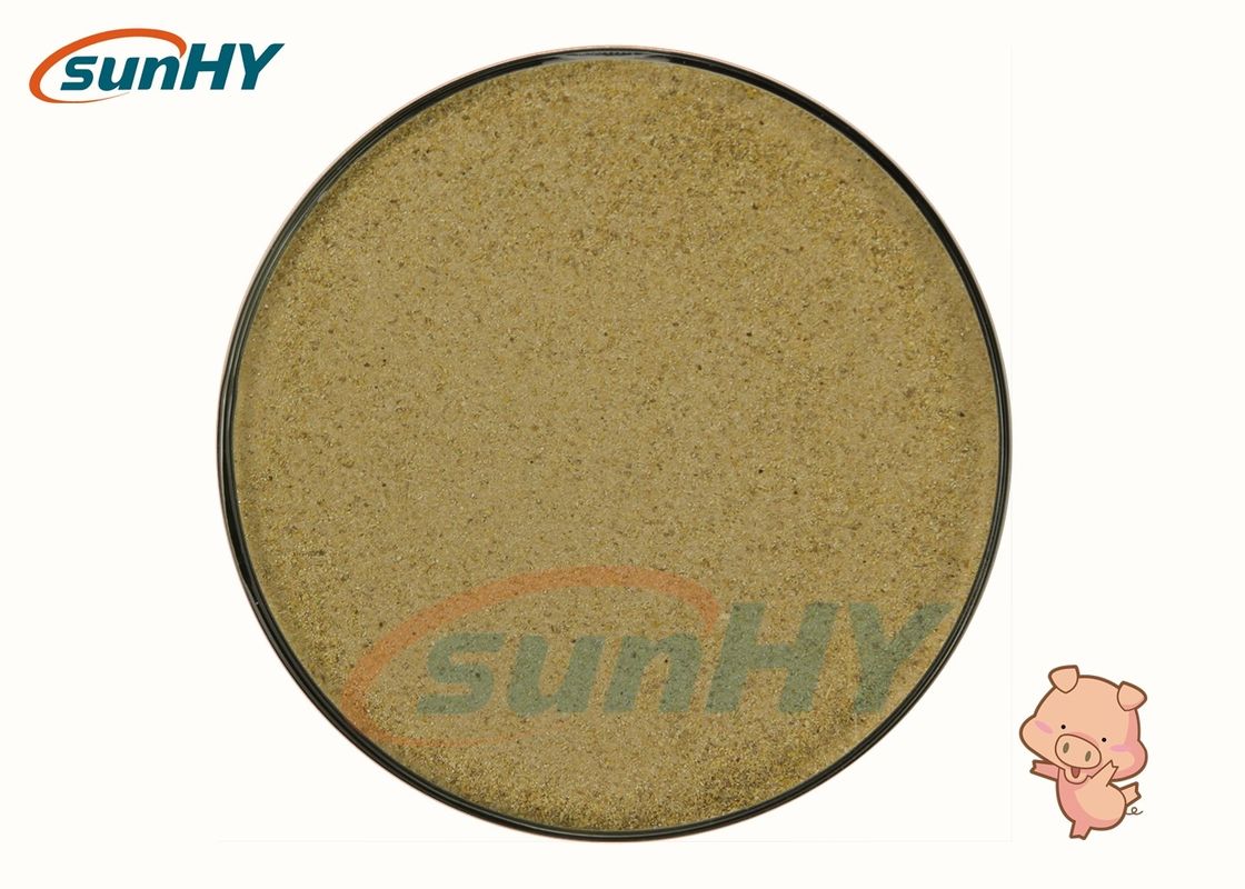 Slight Yellow FAMI-QS Certificated Pig Enzymes Submerged Fermentation