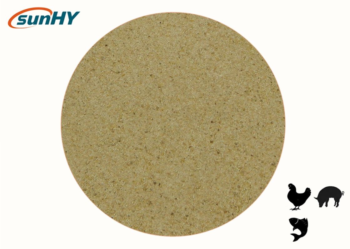 Customized Formula Slight Yellow Blend NSP Enzymes For Digestive