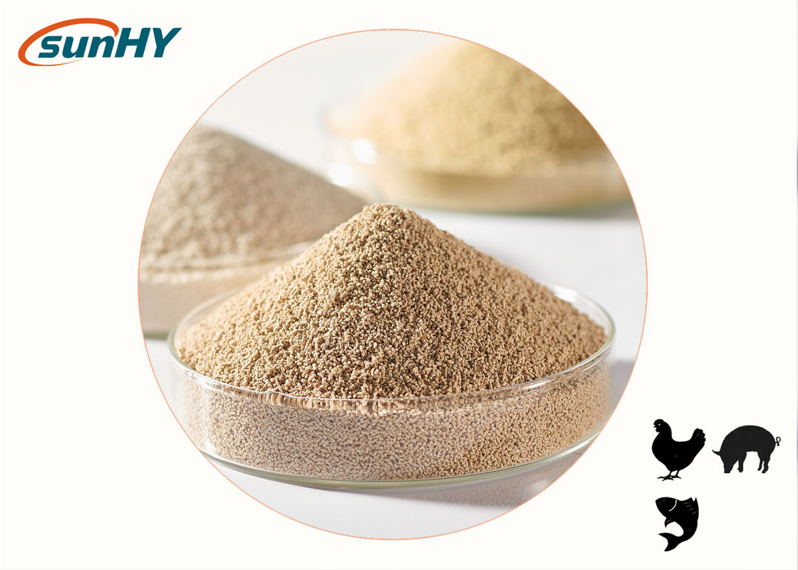 Heat stable β-Glucanase NSP enzyme feed enzyme best quality FAMI-QS certificated slight yellow multiple types