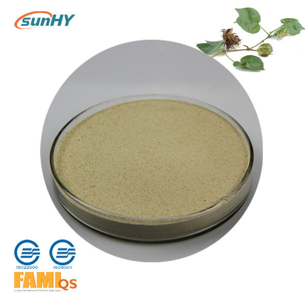 Ultrafine 3000u/G Animal Feed Enzymes Cellulase Digestive Enzyme