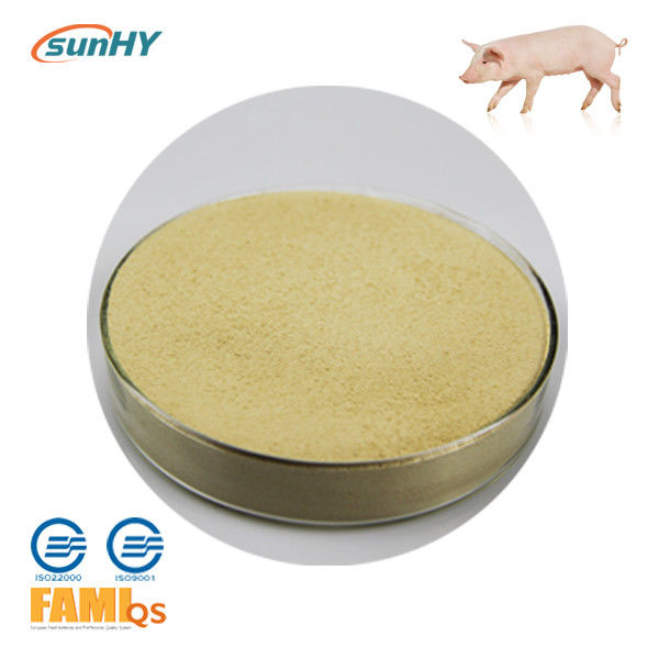 SunLipase P Feed Grade Lipase Enzyme Powder Optimal PH8.0