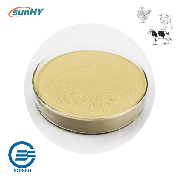 Water Soluble Probiotics In Drinking Water For Improving Animal Intestinal Health